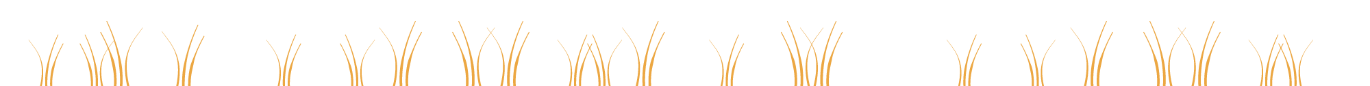 稲のイラスト